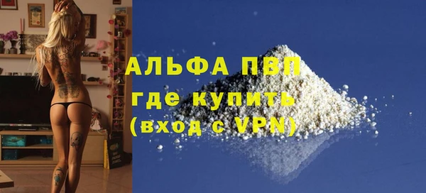 индика Волоколамск