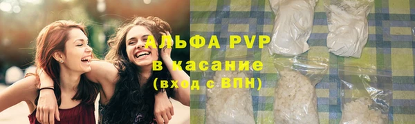 индика Волоколамск