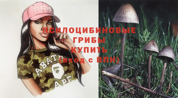 индика Волоколамск