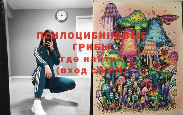 стафф Верхний Тагил