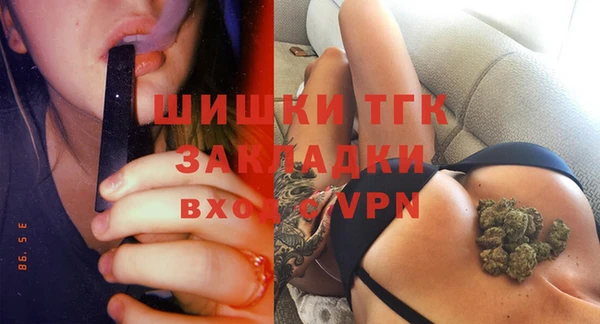 индика Волоколамск