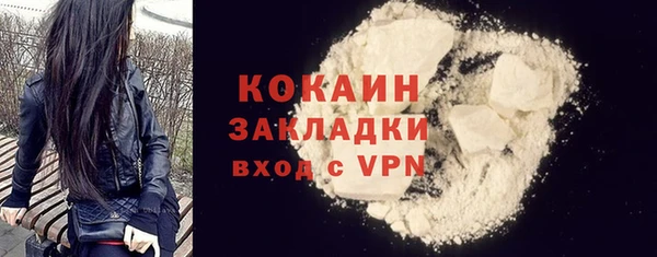 индика Волоколамск