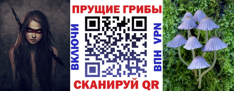 Купить закладки  Микунь  Галлюциногенные грибы прущие грибы 